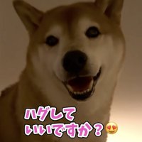 突然の神対応！