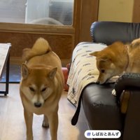 立ち去ろうとしたら…