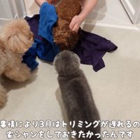 うゆちゃんのシャンプー中の出来事⑩