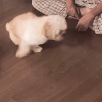 もうすぐ11歳だよ