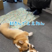 「心得てるだけでもいい」