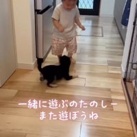 男の子の前で伏せる子犬