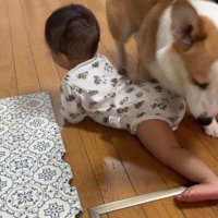 赤ちゃんを見守るまる君5