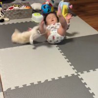 赤ちゃんがコロン！