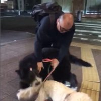 パパさんとプルミちゃん＆バニーちゃんの再会8