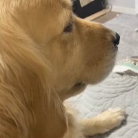 ドヤ顔のメルちゃん