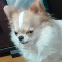 ジトッ