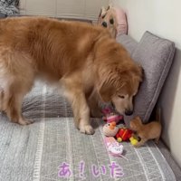 「大丈夫だった？」
