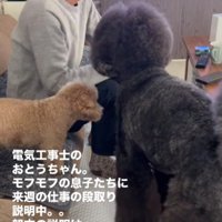申し送りは成功かな！？