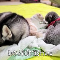 はっちゃんも一安心