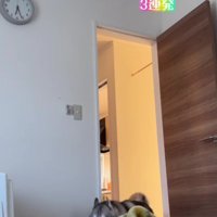 全速力で走ってくると…