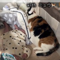 赤ちゃんが泣いた時のニコちゃん5