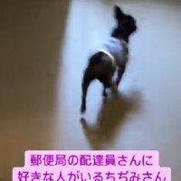 一目散に家の外へ！