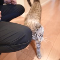思い出してスリスリ♪
