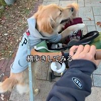 まさかの横歩きに爆笑♪