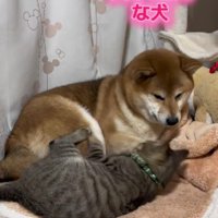 これからも仲良くね！
