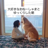 女の子と大型犬