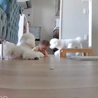 「まだママは戻らないかも～」