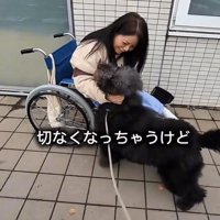女性に抱きついて甘える犬
