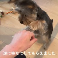 幸せをプレゼントしてくれた