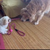 「お散歩行くよ！！」