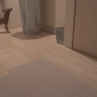 移動したらついて来てくれます