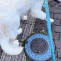 気が付かなかった…