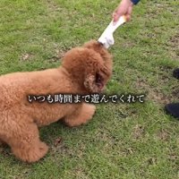 時間ギリギリまで遊んでくれた