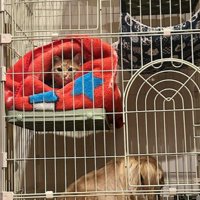 1階に誰かがいる…