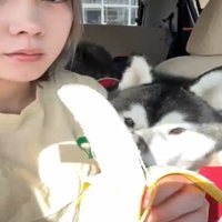 バナナを食べる女性と犬