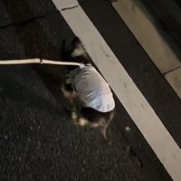 くしゃみをする瞬間