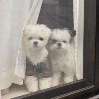 並んでお見送りしてくれることも