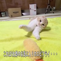 日向ぼっこを存分に満喫