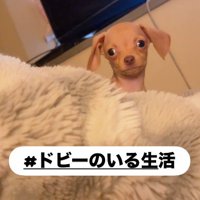 ひょっこり顔を出す♪