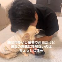 犬に頭を擦り付ける彼氏