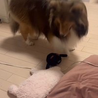 もうひとつ持ってきた