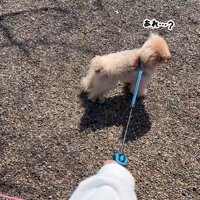 「あれ？誰かいないかも…」