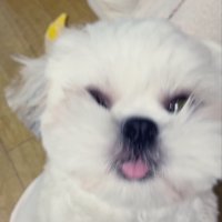 悶絶