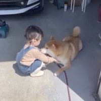 お利口さんでした