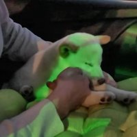 リラックスした寝顔に♡