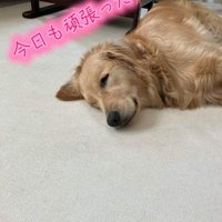 「今日も頑張ったなあ」