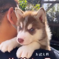 るい君の成長記録