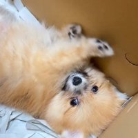 「ふわ～もう着いた？」