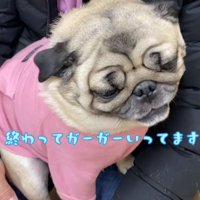 ガーガー文句が止まらない
