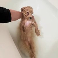 後ろ足をピーン！