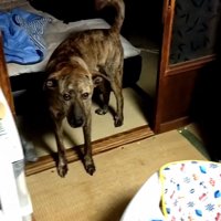 まさかの場所にいたりゅうさん9