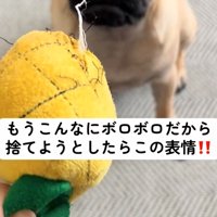 犬のおもちゃ2