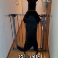 お父さんが帰ってくる日