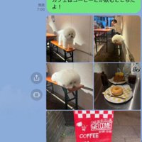おばあちゃんに送ったLINE
