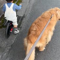 自転車に乗ってお散歩